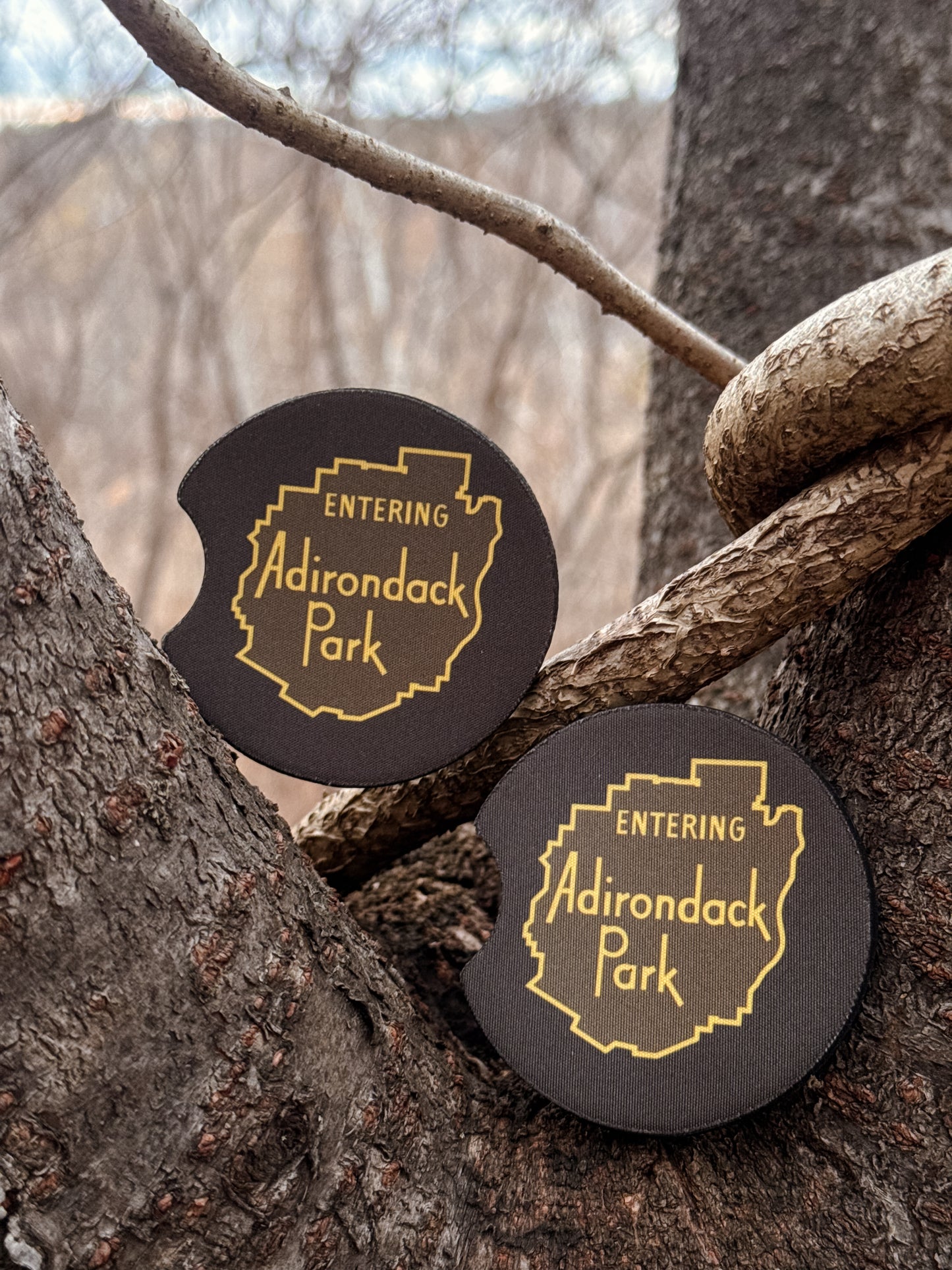 Adirondack Park Car Coasters