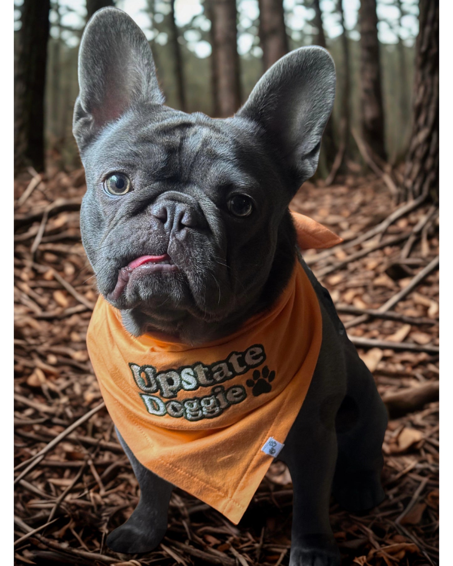 Upstate Doggie™ Bandana
