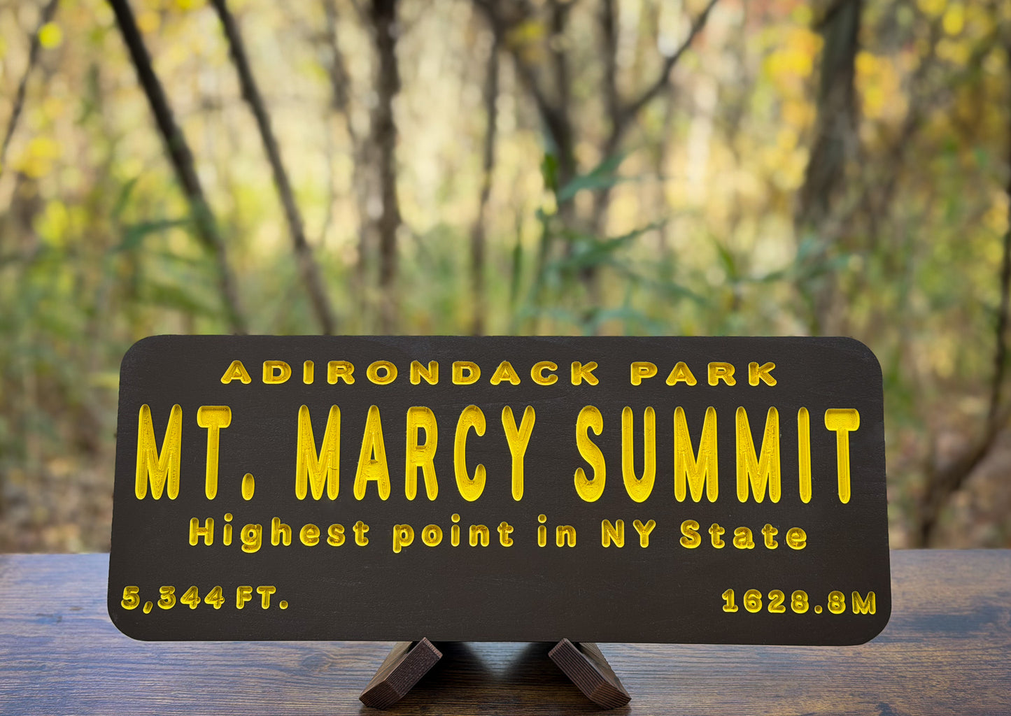 Marcy Summit Sign