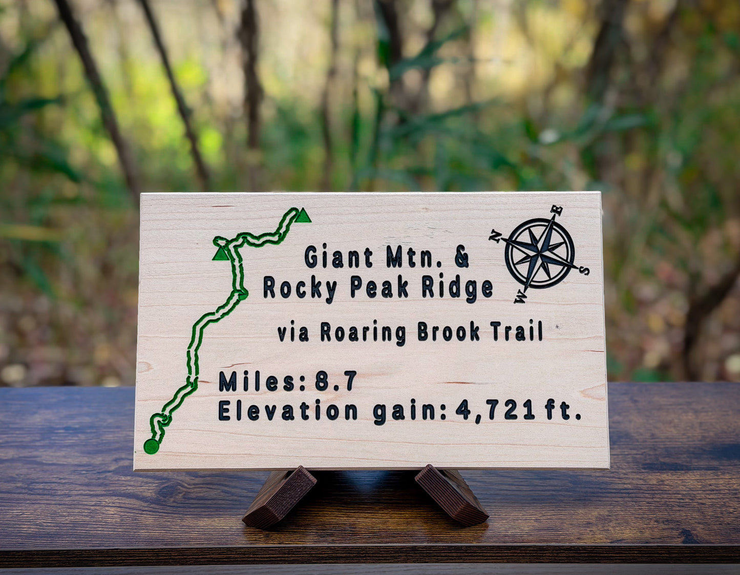 Giant & Rocky Peak "All Trails" Sign