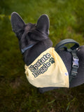 Upstate Doggie™ Bandana